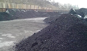 锅炉煤质成分在线计算方法研究