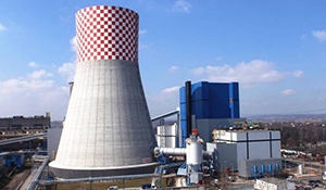 国产1036T/H 循环流化床锅炉水循环缺陷研究