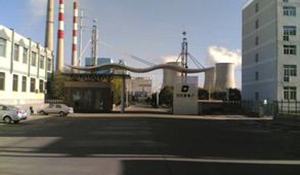 国华准电公司BFS 系统的应用探讨