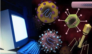 计算机病毒常用分析方法