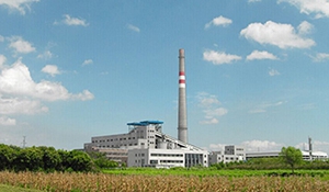 浅析发电企业人力资源集团管控模式的探索