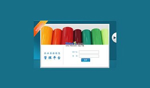 让企业的信息资源“动”起来---浅谈区域发电公司信息资源管理的实践