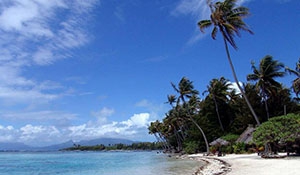 提升海水淡化运行及检修经济性的初步研究