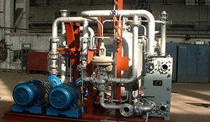 SZSY-2型内冷水处理装置运行维护的探讨