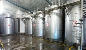 锅炉水冷壁多种结垢类型的机理分析