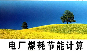 影响正平衡计算煤耗准确性的要因分析及措施