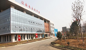 安全稳控装置在发电厂的应用