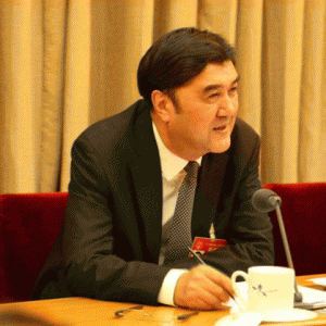 【专访】努尔·白克力：坚定不移推进能源供给侧结构性改革