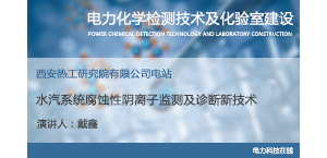 水汽系统腐蚀性阴离子监测及诊断新技术