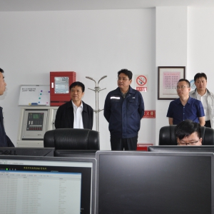华北能源监管局郭智局长到公司张北单晶河风电场调研