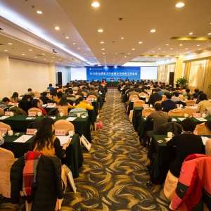 2018年全国电力行业统计与分析工作会在京召开