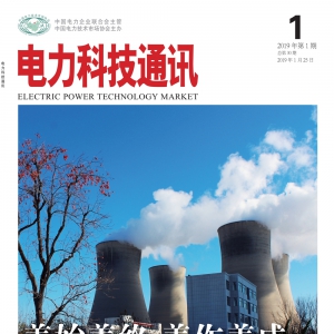 2019年第1期，总30期