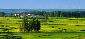 河北年内完成1000个美丽乡村电网改造