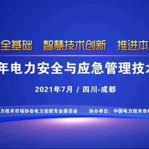 2021年电力安全与应急管理技术论坛圆满召开！