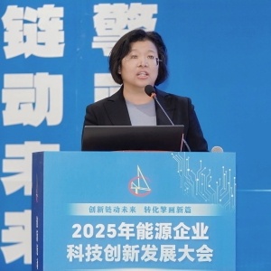 【会议报道】2025年能源企业科技创新发展大会在青岛圆满召开 ...